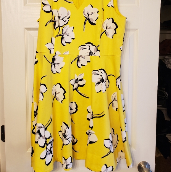 Draper James Sleeveless Dress - Picture 3 of 4